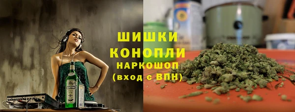 mdpv Краснослободск