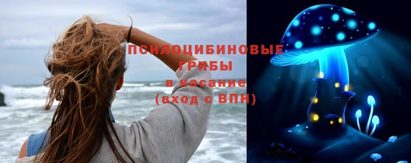 прущие грибы Красноперекопск