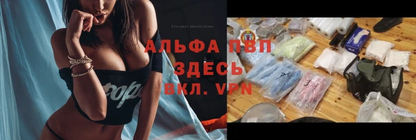 прущие грибы Красноперекопск