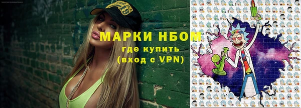 прущие грибы Красноперекопск