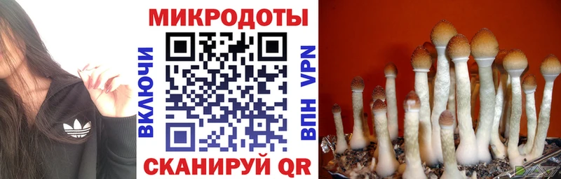 Купить  Очёр  Галлюциногенные грибы MAGIC MUSHROOMS 